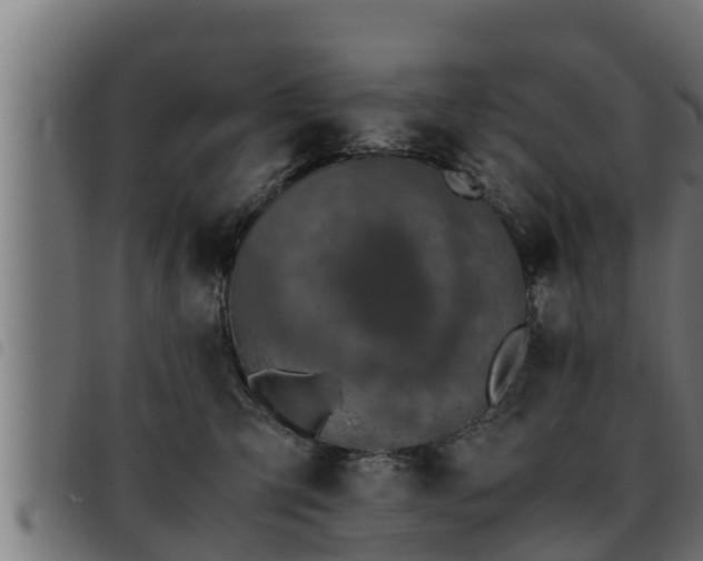 X0000093490423200710121511