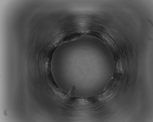X0000093490424200710121510