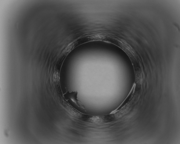 X0000093490425200710121510