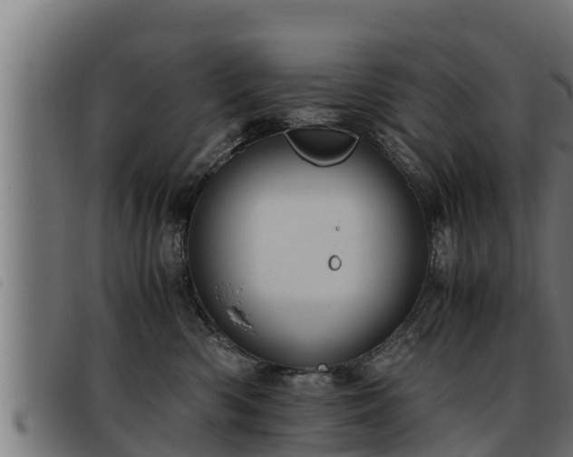 X0000093490426200710121510
