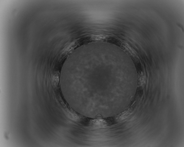 X0000093490427200710121510