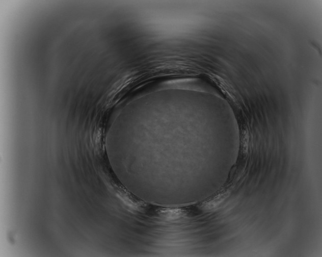 X0000093490428200710121510