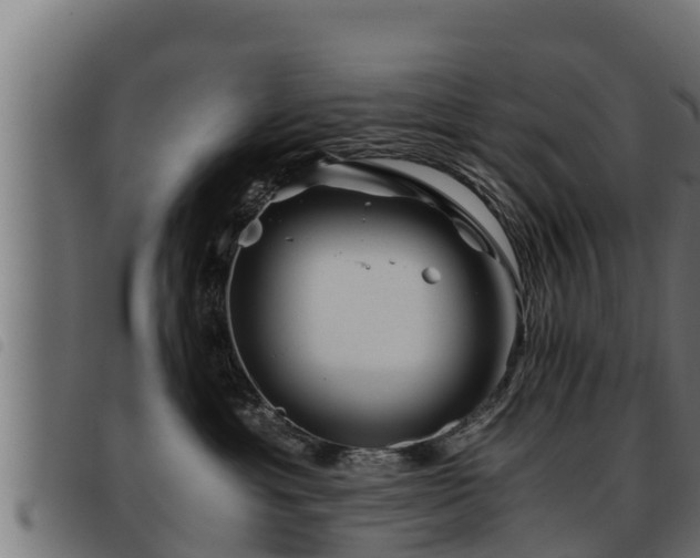 X0000093490429200710121510