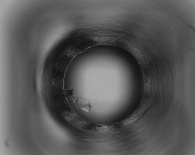 X0000093490430200710121510