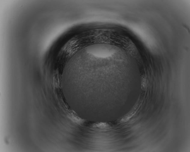 X0000093490431200710121510