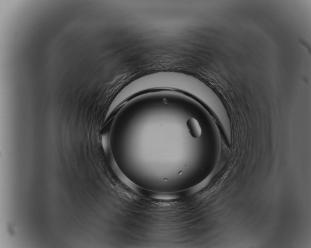 X0000093490432200710121510