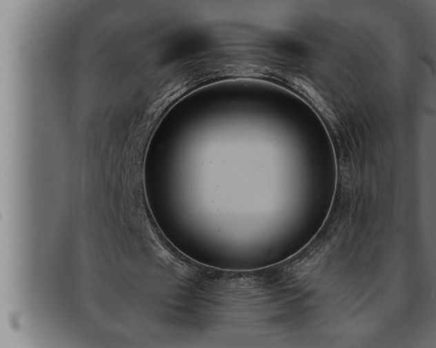 X0000093490433200710121510