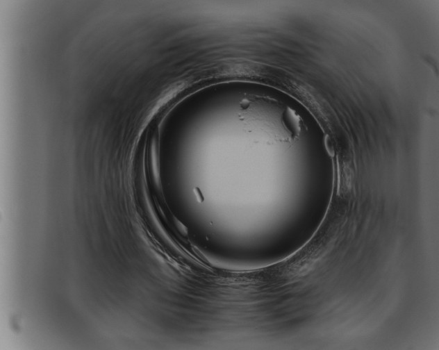X0000093490435200710121510