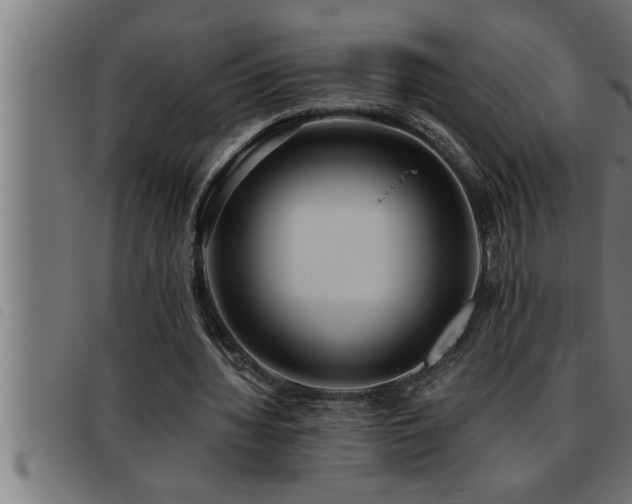 X0000093490436200710121510