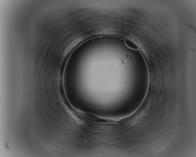 X0000093490437200710121510