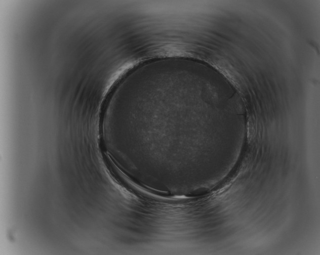X0000093490438200710121510