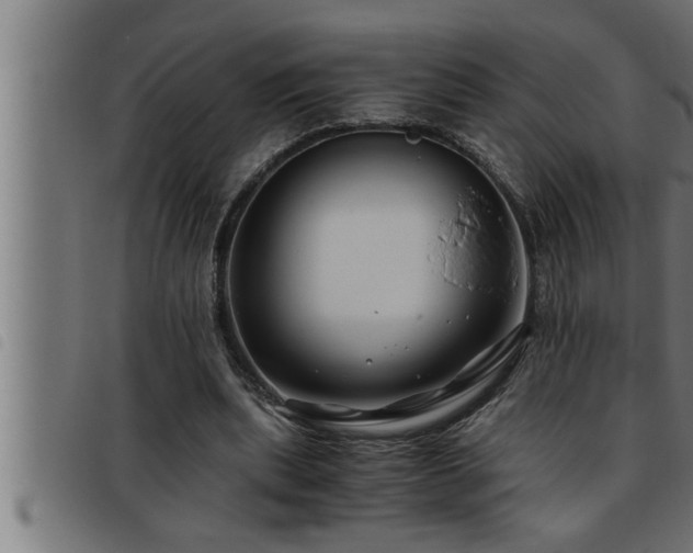 X0000093490439200710121510
