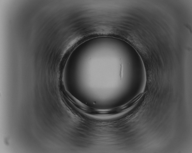 X0000093490440200710121510
