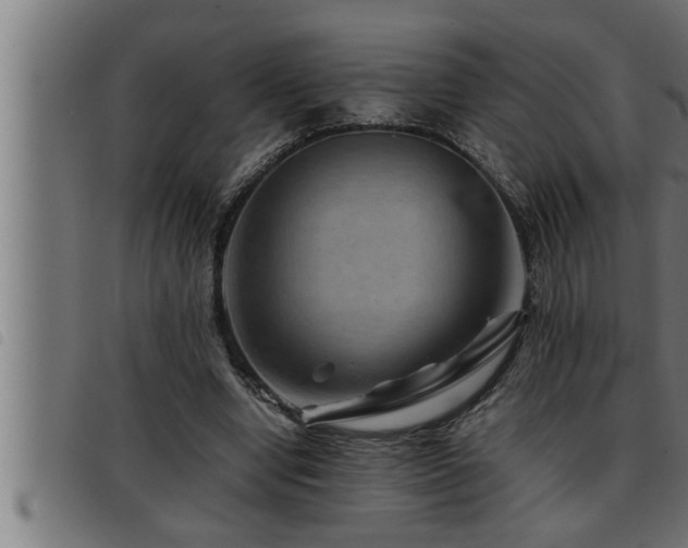 X0000093490442200710121510