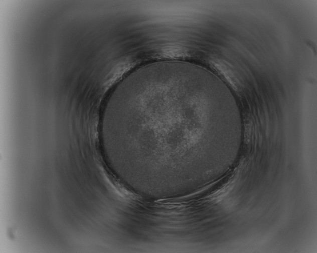 X0000093490443200710121510