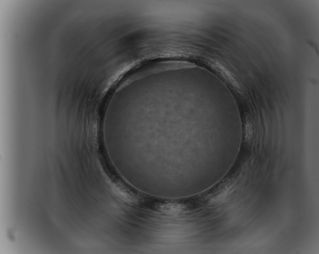 X0000093490444200710121510