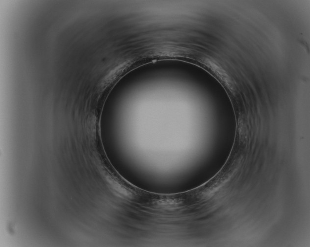 X0000093490445200710121510