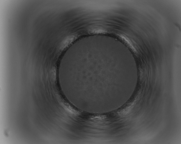X0000093490447200710121510