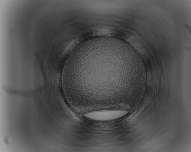 X0000093490449200710121510