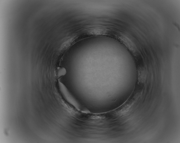 X0000093490453200710121510