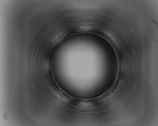 X0000093490455200710121510