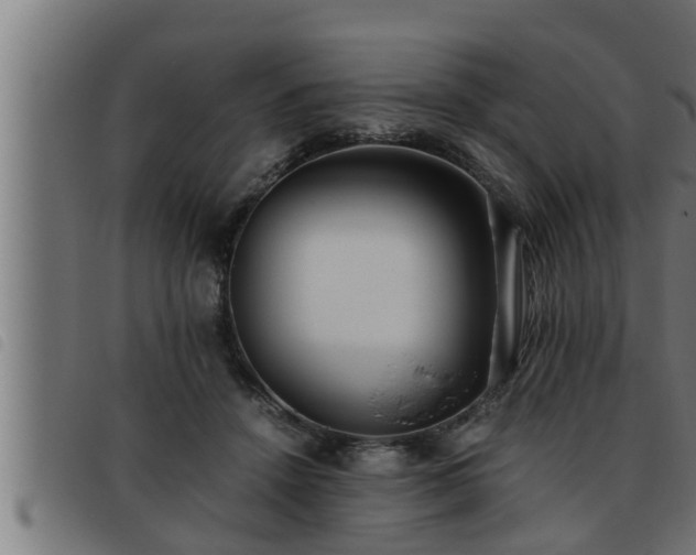 X0000093490456200710121510