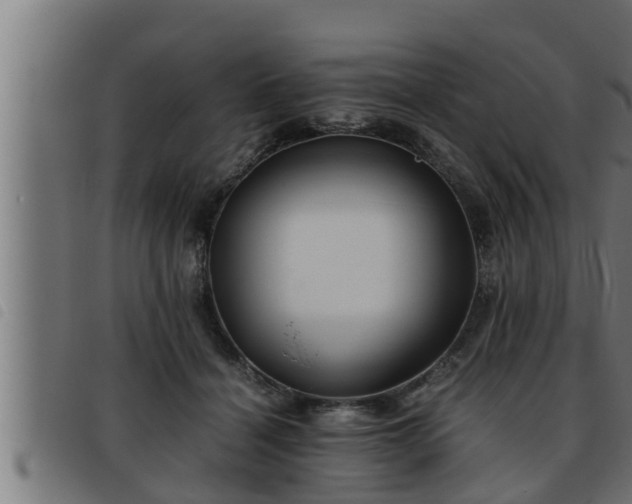 X0000093490460200710121510