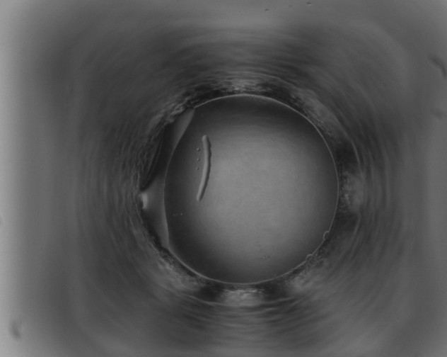 X0000093490461200710121510
