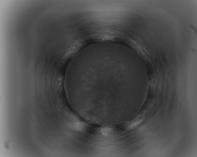 X0000093490462200710121510
