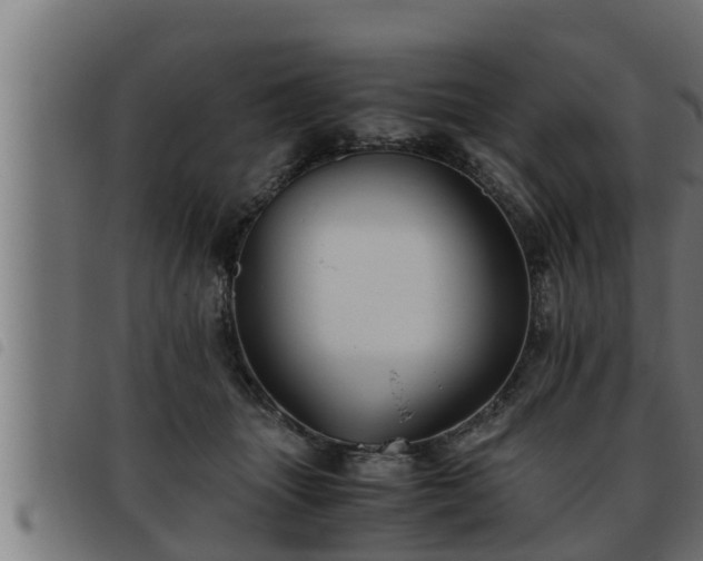 X0000093490463200710121510