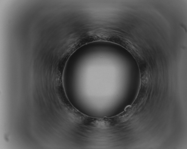 X0000093490464200710121510