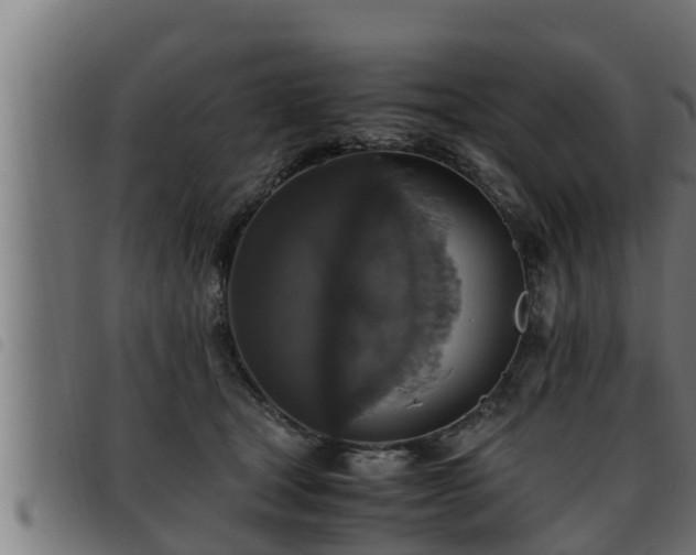 X0000093490465200710121510