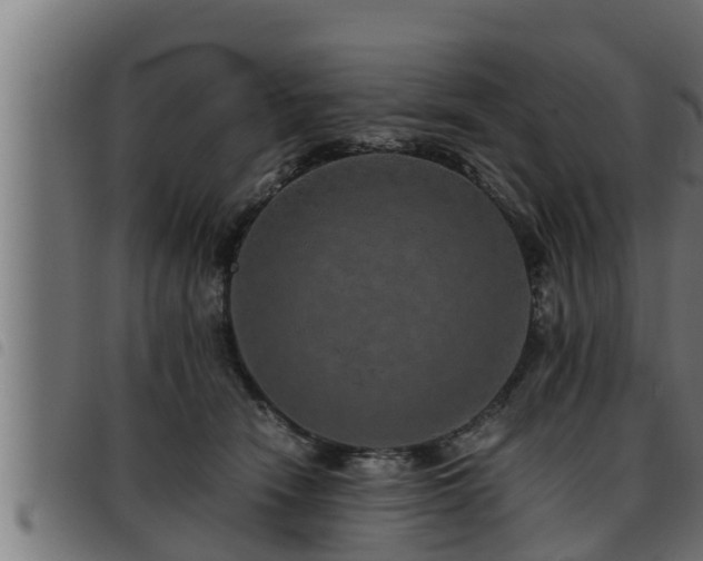 X0000093490466200710121510