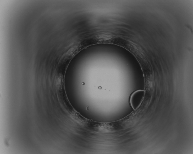 X0000093490468200710121510