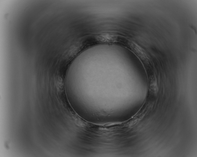 X0000093490469200710121510