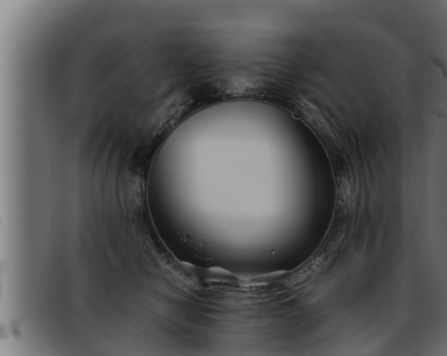 X0000093490470200710121510
