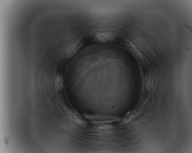 X0000093490471200710121510