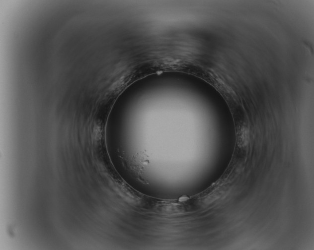 X0000093490472200710121510