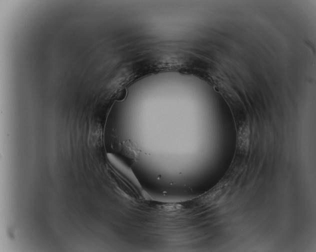 X0000093490474200710121510