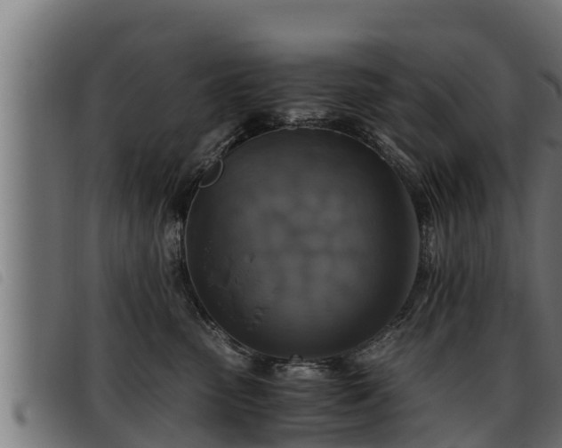 X0000093490475200710121510