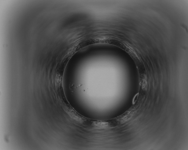 X0000093490476200710121510