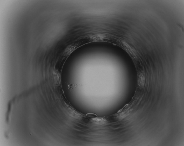 X0000093490477200710121510