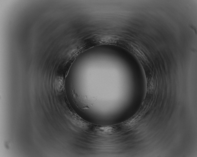 X0000093490478200710121510