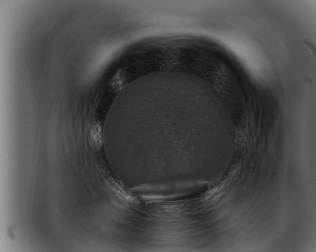 X0000093490479200710121510