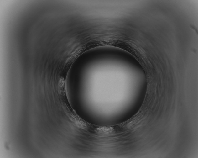 X0000093490480200710121510