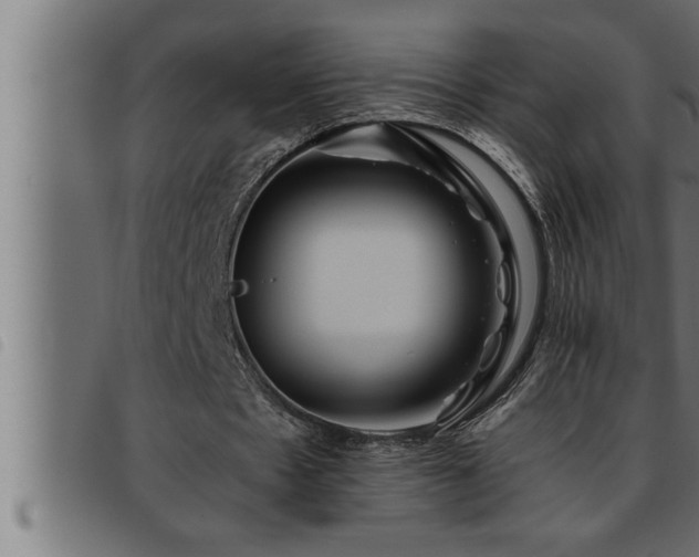 X0000093490481200710121510