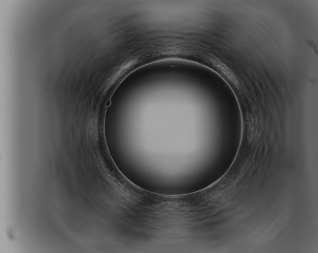 X0000093490482200710121510