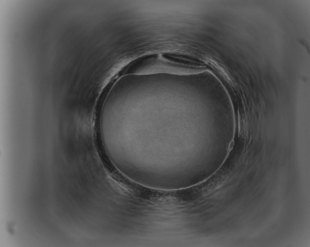 X0000093490483200710121510