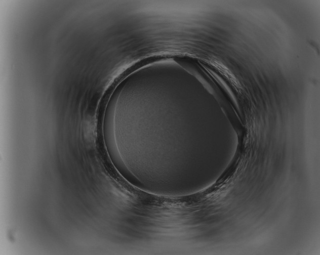 X0000093490484200710121510