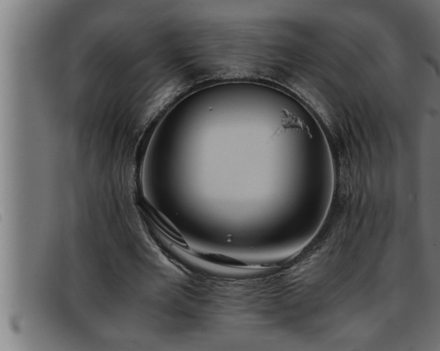 X0000093490485200710121510
